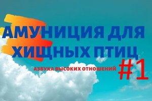 Азбука соколиной охоты #1. Амуниция для хищных птиц и врановых. Обзор.