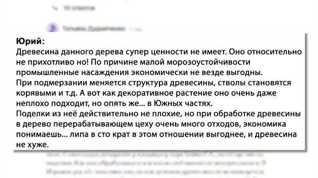 ПАВЛОВНИЯ - символ бессмертия! ТОПОЛЬ - символ Украины! смотреть онлайн