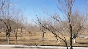 Байконур 20.03.2021 г.