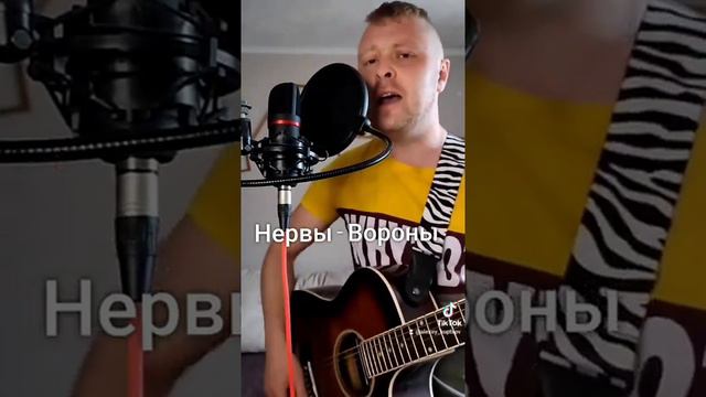 Нервы - Вороны. кавер