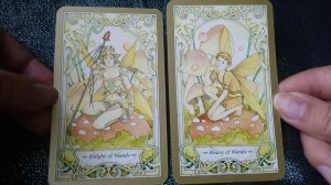 Mystic Faerie Tarot. Обзор колоды Карт ТАРО. Влог Луны 26