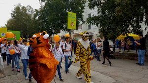 День города Дальнегорск