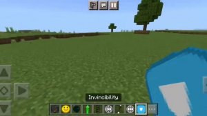 God Mode With Super Powers Addon For Minecraft Pe