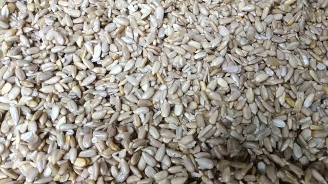 Мука из семечек подсолнуха смотреть онлайн
