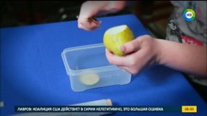 Самый простой способ избавиться от мошек дома.