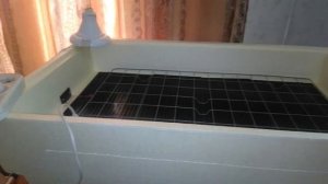 Инкубатор,, ЗОЛУШКА 2020" на 98 яиц, честный обзор!!!