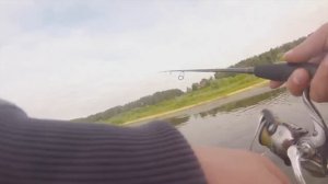 Ока 2015. Окунь, жерех, щука, голавль на лайт-спиннинг. by Fdooch