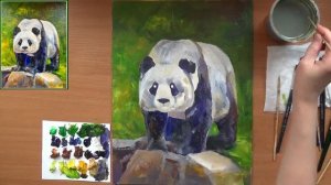 Как нарисовать панду. Бамбуковый медведь- панда. Акрил