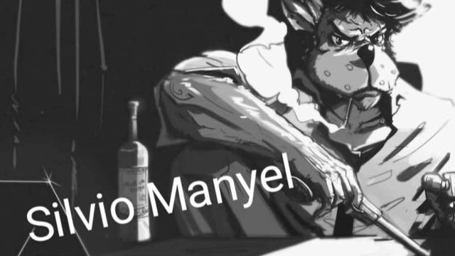 Silvio Manyel