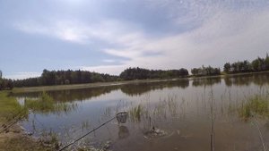 Рыбалка на карпа в Беларуси - Рыбалка в Беларуси 2021