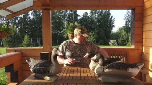 Плавающий шедевр!!! Белолобый гусь и гуменник!