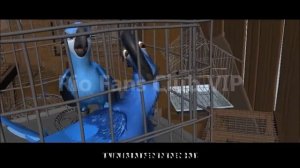 Making Rio Animation 3 (Rio Fans Club VIP)