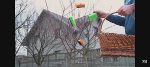 Я вырастил губку! Огурец Люффи или же Губка.