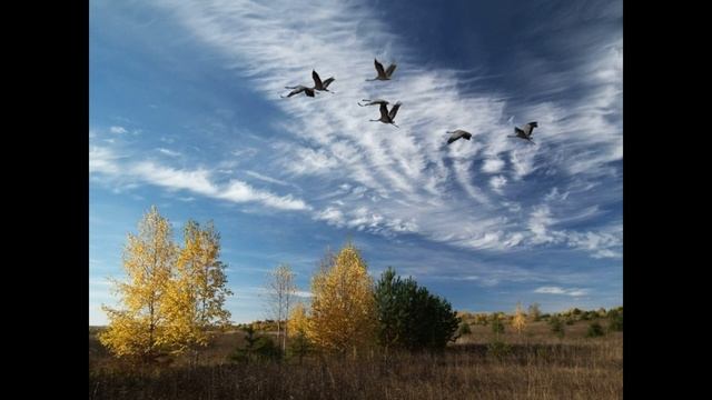 Провожаю милых журавлей! Поёт – Валерий Гулянов. Стихи – Веры Вассориной Протасовой.