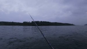 Рыбалка в Кемеровской области. Снова Томь. Снова хариус