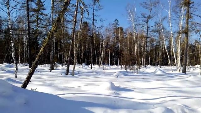 Красный Яр, на мари зимой. р.Бикин смотреть онлайн