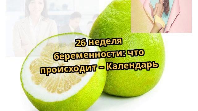 26 неделя беременности: что происходит – Календарь