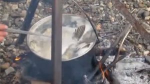 Таймень на Северной Сосьве