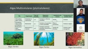 Aula de Biologia - 2º ano - Protoctistas (Protistas)