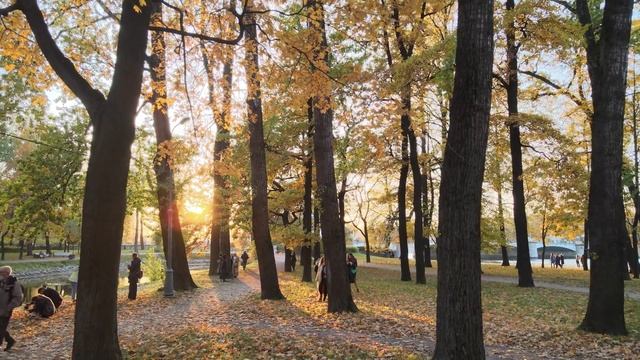 Золотая осень в Петербурге. Петроградский район. Лопухинский сад. Улицы. 2021. 4К смотреть онлайн
