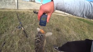 Ловля карпа на фидер. Рыбалка на карпа в ноябре. Рыбалка 2021