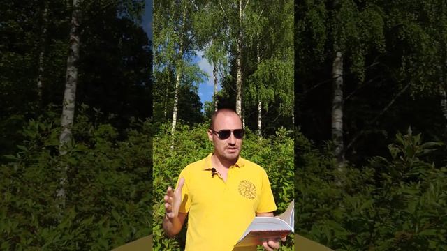 Алексей Кольчугин – "Я умею читать между строк..." (Система контрастов)