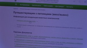 Оформить ветеринарный сертификат в России теперь можно онлайн