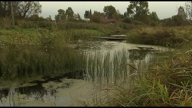 Русский Север.  Белозерье. Край водных просёлков. Nature of Russia.