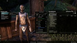 Teso [Tipps] - Housing für Anfänger [The Elder Scrolls Online]