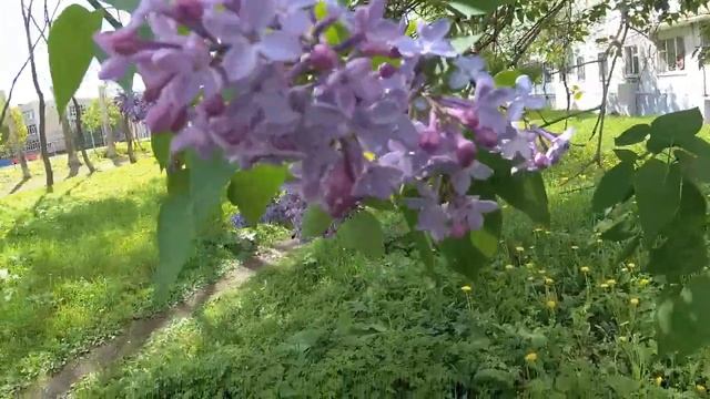 Замена электрических щитов в МКД смотреть онлайн