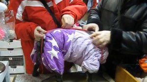 зимний комбинезон для французского бульдога