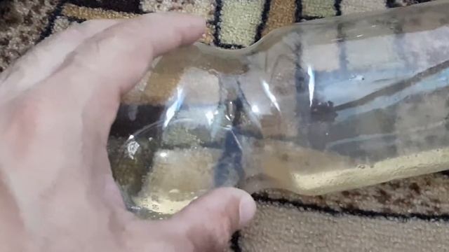 Как избавиться от мышей в частном доме