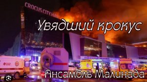 Ансамбль Малинада "Увядший крокус", автор  Лидия Щербакова #ansambl_malinada, #uvyadshiy_crocus