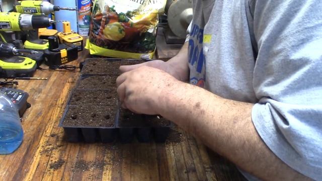 Planting Canteloupe Hales Best Jumbo Seeds - Mittleder Gardeing System смотреть онлайн