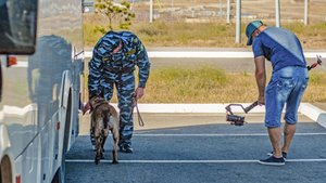 Презентационный фильм - Работа собак по поиску ВВ для обеспечения безопасности объектов РЖД