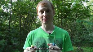 Плавающий нож Morakniv Floating Lime. Ножи для леса.