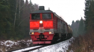"В лесной глуши". 2ТЭ116-1421 с грузовым поездом