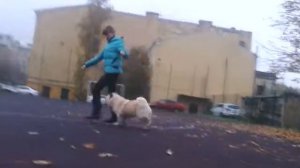 Чау чау (смуф) - Пятый Элемент Ермиола