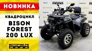 Квадроцикл Bison Forest 200 Lux