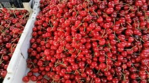 Ейск 2021. Цены на овощи и фрукты в июне. Отдых в Ейске.