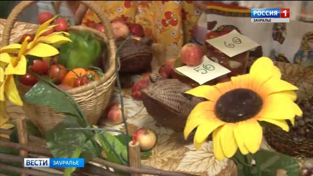 Учителя Макушинского района собрались на педагогическую конференцию смотреть онлайн