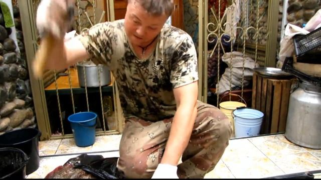 Скат морская лисица и морской петух смотреть онлайн