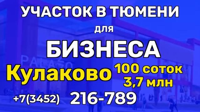 схема размещения нестационарных торговых объектов тюмень