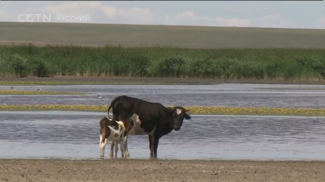 Внутренняя Монголия - Жизнь в седле