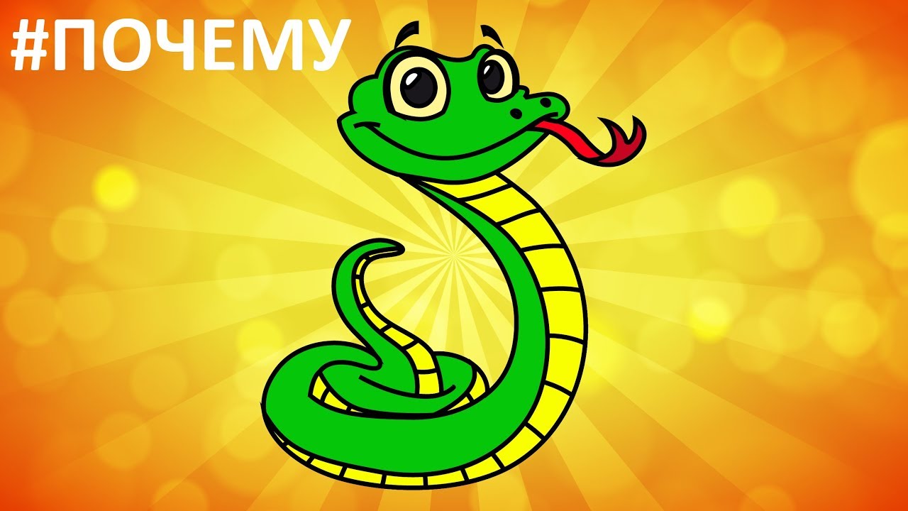 Змеи чувствуют запах. Рисунок змеи для детей. Змея перевод на английский язык.