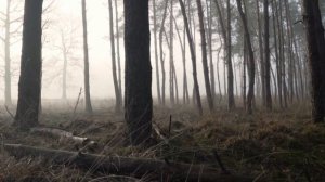 Борис Пастернак: Страшная сказка [стихи]