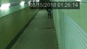 Одинцовские подземные переходы и остановки Одинцовские гангстеры или как обмануть камеры наблюдения