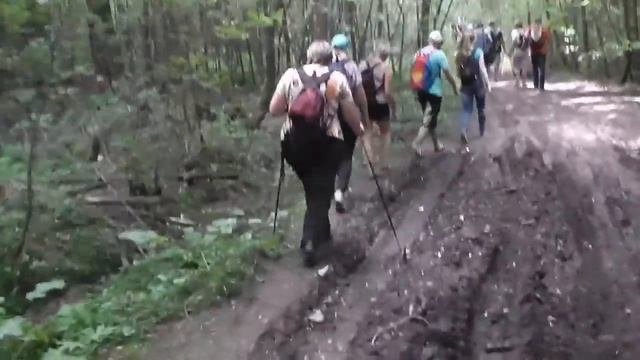 Лесными тропами
