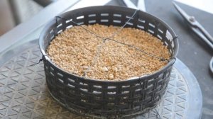 Выращивание 4 видов семян бонсай! 100% всхожесть всех семян!